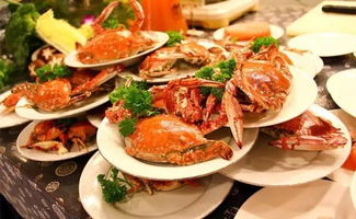 高鐵2.5小時(shí)從沈陽到北京，沿途20站美景任你游，還能一路嘗鮮！